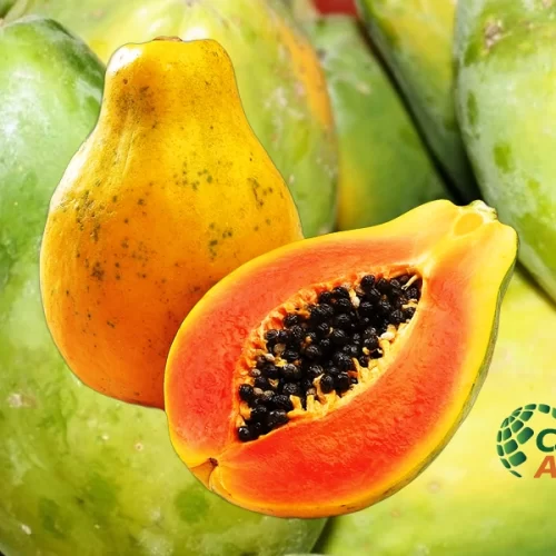 MAMÃO/CEPEA: Baixa oferta impulsiona preços no ES