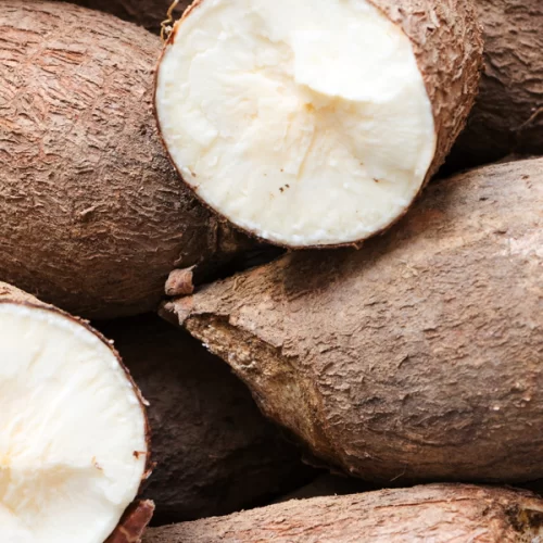 MANDIOCA/CEPEA: Retomada da demanda limita queda de preços