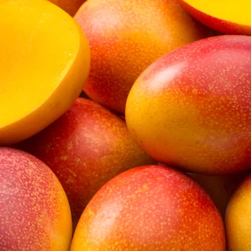 MANGA/CEPEA: Com maior oferta, preços recuam no Vale no começo deste mês