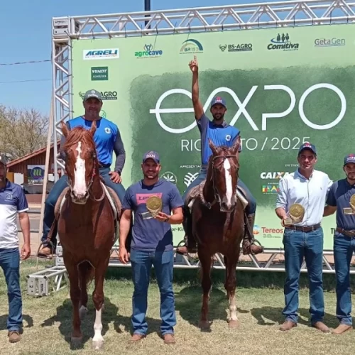 Qualidade marca julgamento da raça Mangalarga na 62ª Expo Rio Preto