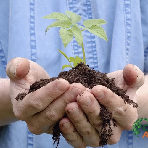 Para 76% da população, agro é fundamental