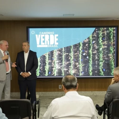 Mapa apresenta Caminho Verde Brasil para produtores rurais de Goiás