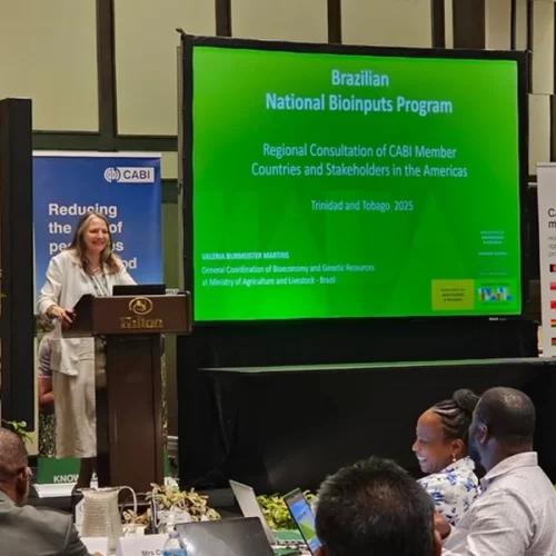 Mapa apresenta Programa Nacional de Bioinsumos em encontro regional do CABI no Caribe