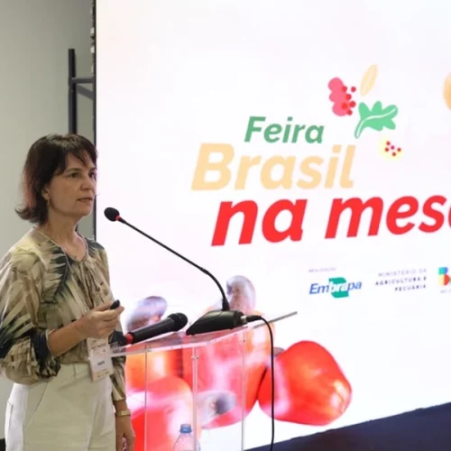 Mapa apresenta projeto SIMples AsSim durante a Feira Brasil na Mesa