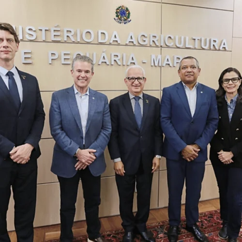 Mapa dialoga com o setor da cafeicultura para fortalecer a cadeia produtiva