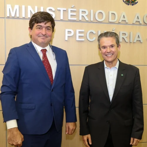 Mapa e IICA aprofundam diálogo sobre inovação e cooperação no setor agropecuário