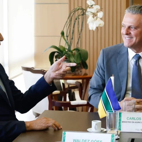 Mapa e MDR articulam ações emergenciais no Amapá para produtores afetados pela vassoura-de-bruxa da mandioca