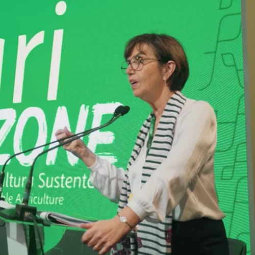 Mapa e OMSA discutem impactos do clima na saúde animal na AgriZone