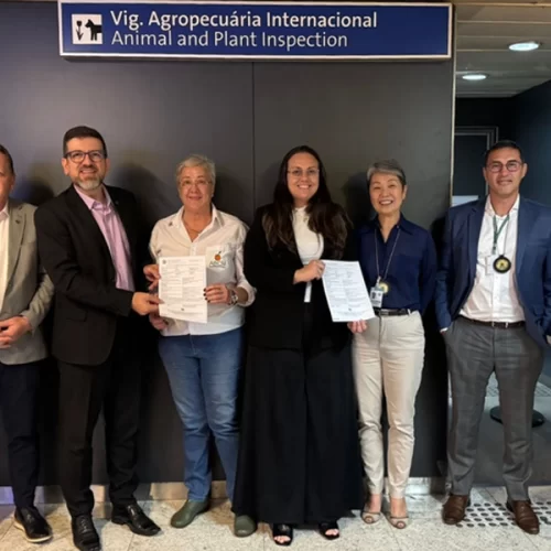 Pela primeira vez, Mapa emite certificado atestando qualidade de citros para mercado europeu