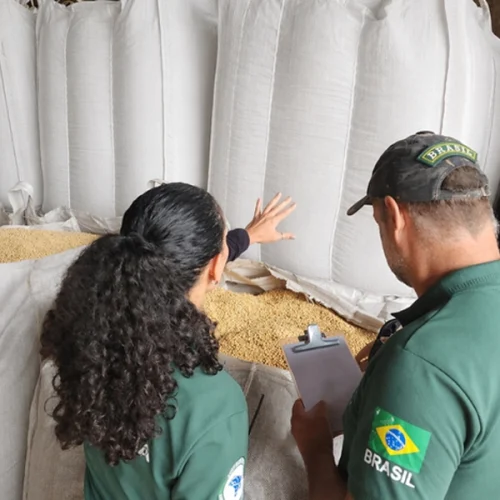 Mapa participa da Operação Semente Segura III no Rio Grande do Sul