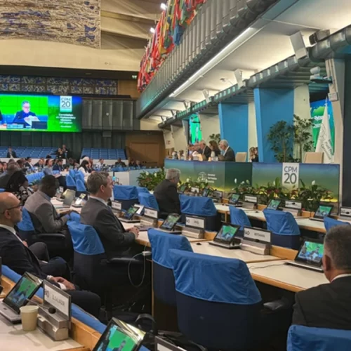 Mapa participa de sessão da FAO sobre proteção fitossanitária em Roma