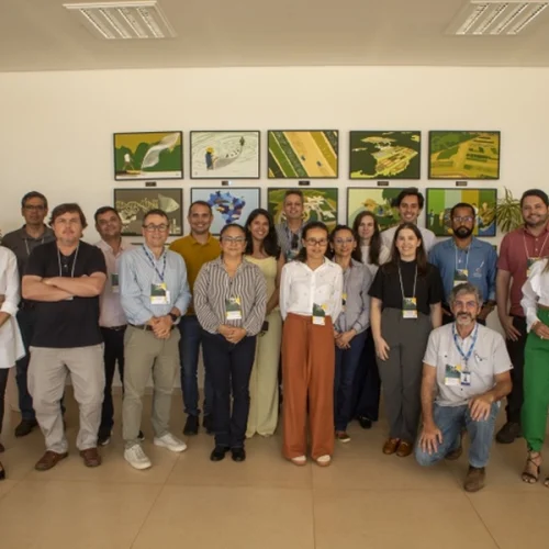 Mapa promove treinamento do Plano ABC+ para fortalecer o Grupo Gestor Estadual no Tocantins