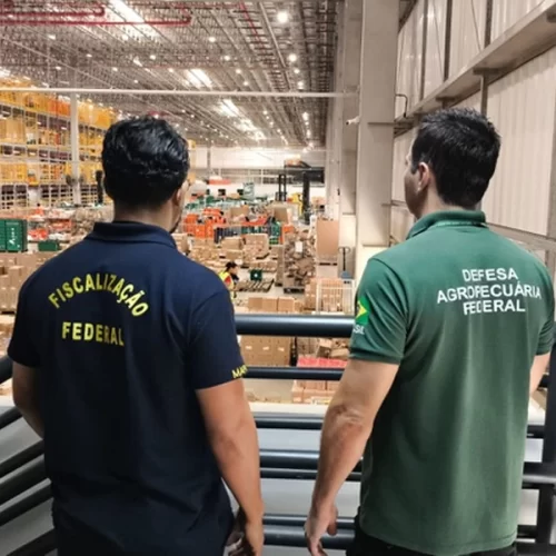 Mapa realiza operação “Forum Vinarium” contra comércio eletrônico irregular de bebidas e azeite em centros logísticos