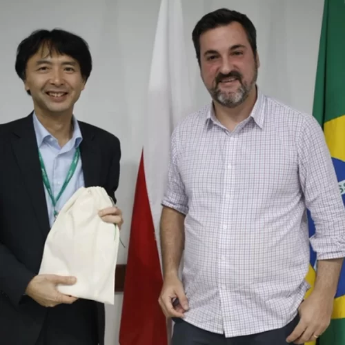 Mapa realiza reunião bilateral com o Japão para avançar pauta comercial e cooperações bilaterais
