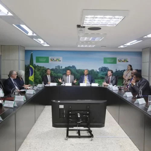 Mapa recebe representantes do Caribe e do IICA para alinhamento de cooperação internacional