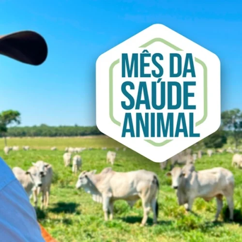 Mapa realiza, em maio, o Mês da Saúde Animal 2026