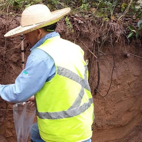 Método simplifica medição de carbono no solo com laser e IA