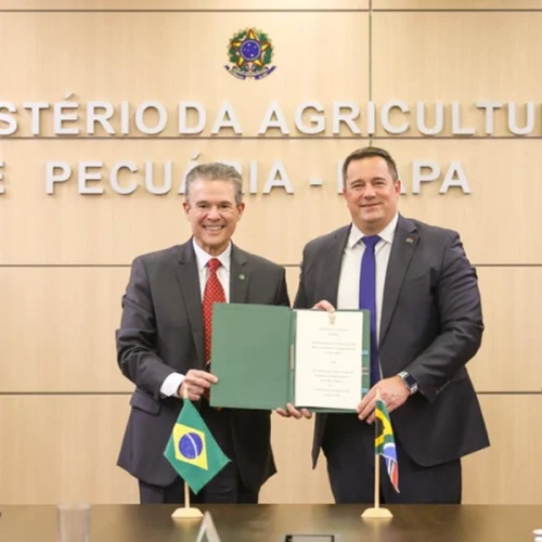 Ministro André de Paula firma memorando com a África do Sul para cooperação agropecuária