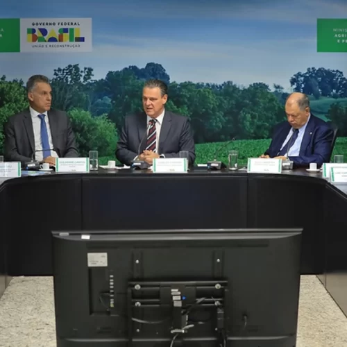 Ministro Fávaro se reúne com Grupo de Trabalho para avançar em proposta de apoio financeiro a produtores do Rio Grande do Sul