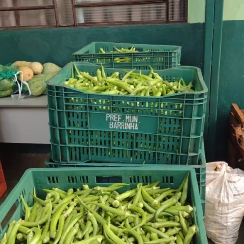 Municípios paulistas começam a receber cestas da 5ª fase do PAA para distribuição a famílias em situação de vulnerabilidade