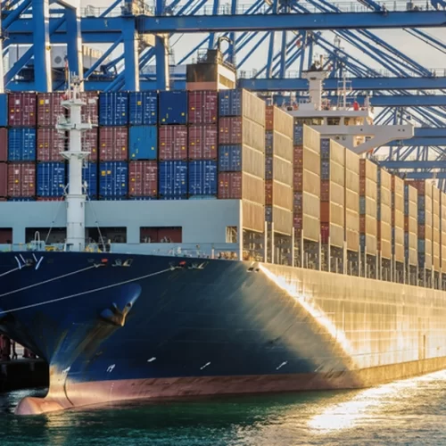 Primeiras cargas de DDGS chegam à China, e Brasil envia farinha de vísceras de aves ao país asiático