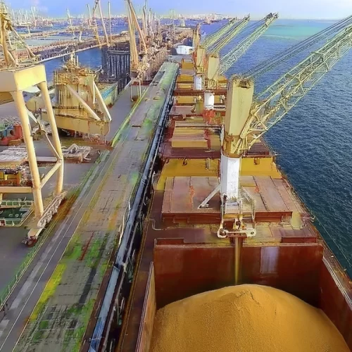 SOJA/CEPEA: Negócios são lentos no Brasil