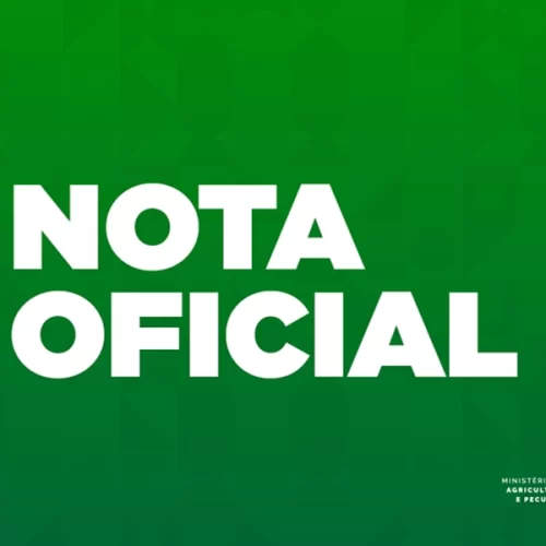 Gripe aviária: mais quatro países retiram restrições de exportação à carne de aves brasileira