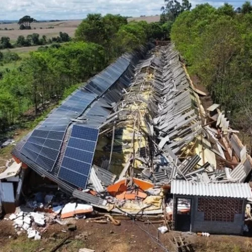 Nova apólice pode estancar perdas de R$1 bi do setor avícola com falhas de energia e eventos climáticos