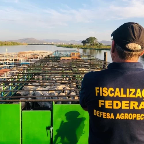 Nova lei amplia adicional de fronteira e reforça atuação da defesa agropecuária nas regiões estratégicas do país