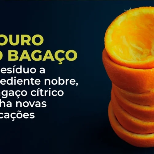 O valor do bagaço da laranja