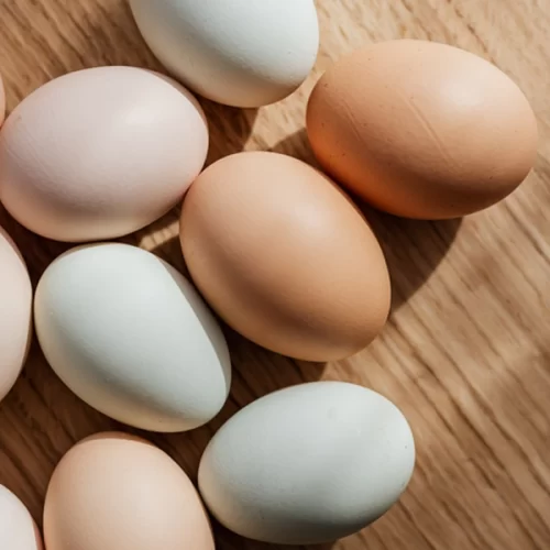 OVOS/CEPEA: Médias de janeiro são as menores para o período em seis anos