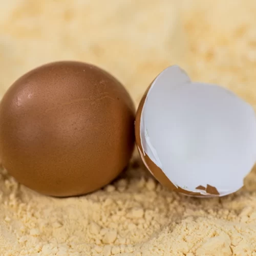 Abertura de três novos mercados para o Brasil na Argentina