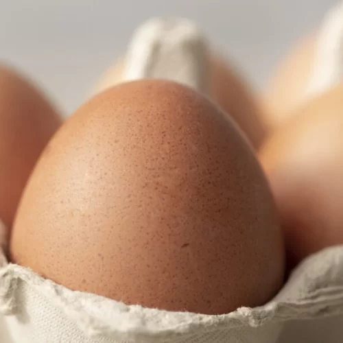 Exportações de ovos crescem 13,6% em outubro