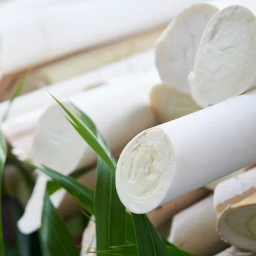 Palmito pupunha do Vale do Ribeira conquista selo de Indicação Geográfica