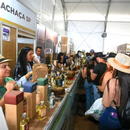 Pavilhão das Rotas de São Paulo soma R$3,5 milhões em vendas na Agrishow 2026
