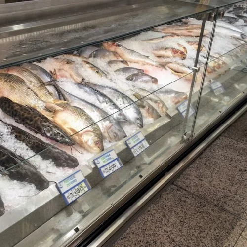 Páscoa impulsiona consumo de peixes e pesquisa da APTA Regional revela como famílias escolhem o pescado