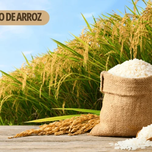 Leilões de apoio ao escoamento de arroz são marcados para o próximo dia 5 de maio