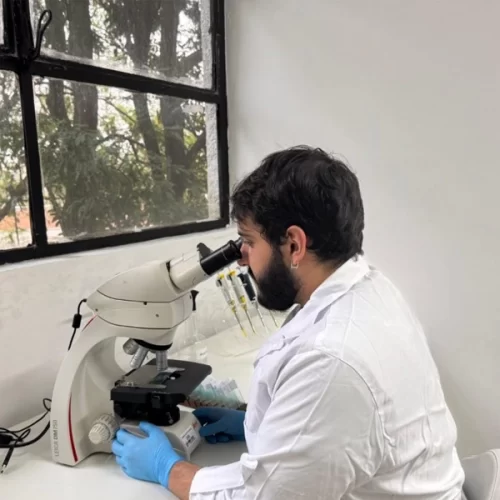 Mestrando do Instituto de Pesca estuda aspectos fisiológicos e potencial de transmissão viral em tilápias