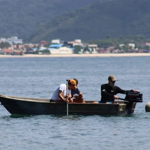 Projeto Petrechos de Pesca: conservação e sustentabilidade para a proteção dos oceanos