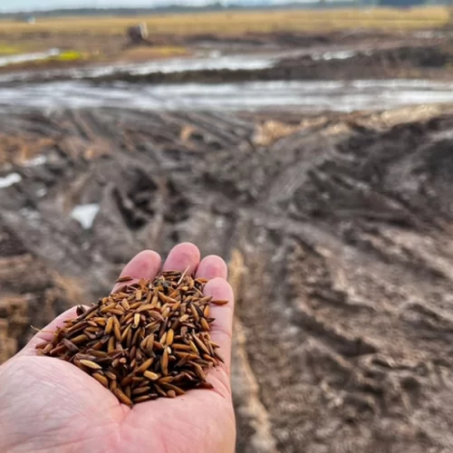 Governo Federal implanta Grupo de Trabalho para discutir propostas relacionadas ao endividamento dos produtores rurais gaúchos