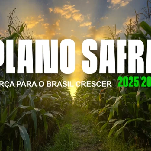 Governo Federal lança Plano Safra 2025/2026 com R$ 516,2 bilhões para impulsionar o agro brasileiro