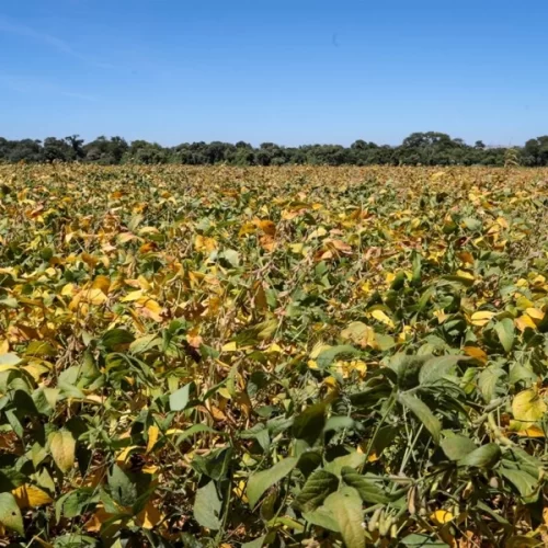 Outono 2026 traz contrastes de calor, frio e chuvas no Estado de São Paulo