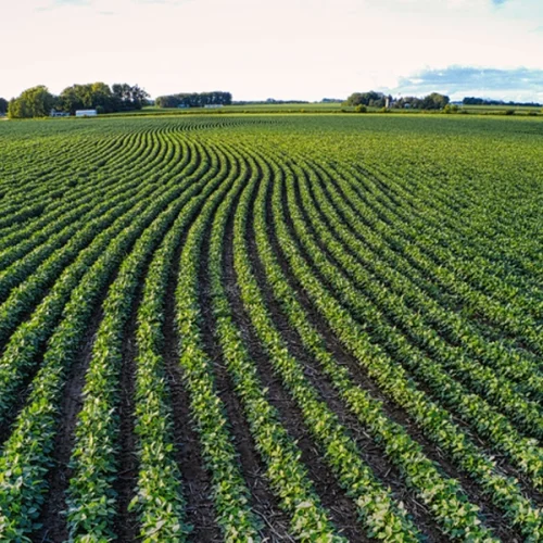 Registros de emissão de CPR chegam a R$ 560 bilhões em março