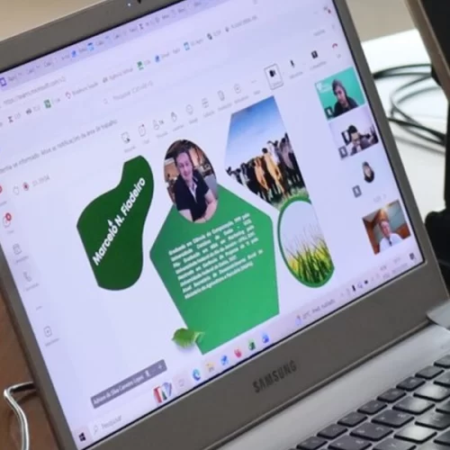 Encontro Web destaca avanços e oportunidades da Plataforma Mapa Conecta