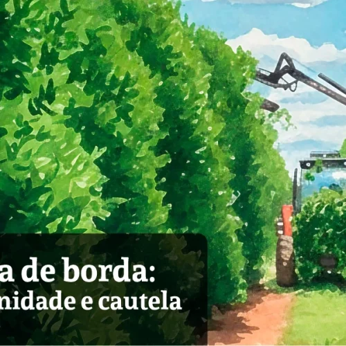 Poda de borda: oportunidade e cautela