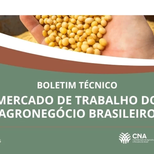 População ocupada no agronegócio no 1º trimestre é recorde