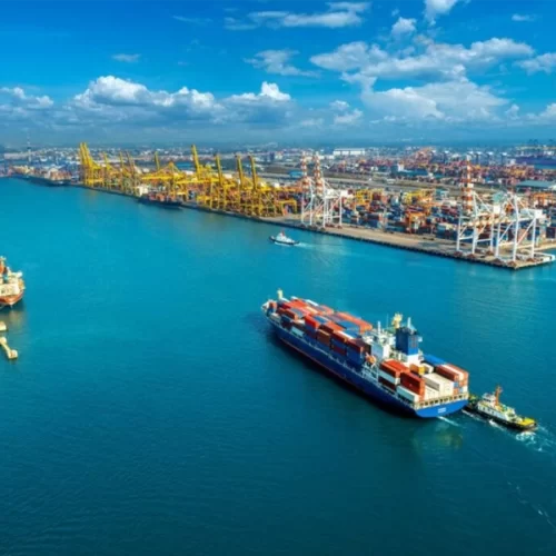 Um mês após tarifaço, agro paulista tem superávit de US$ 14 bi