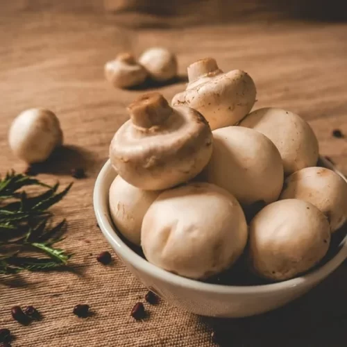 Semana de Alimentação: sabor, saúde e ciência serão destaque de evento da SAA