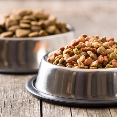 Brasil habilita 40 plantas de pet food para exportação à Costa Rica