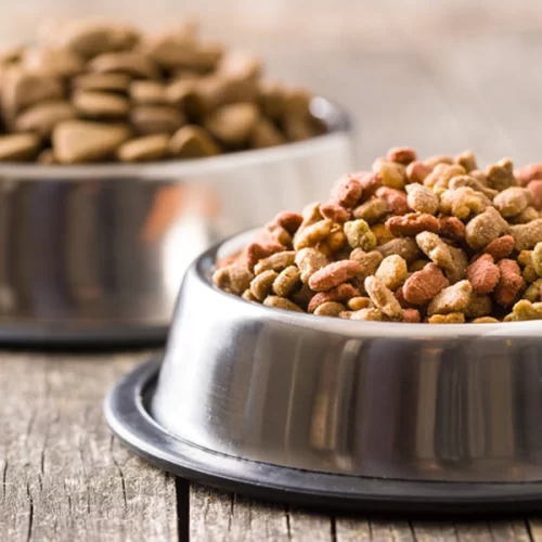 Abertura de mercado para produtos agropecuários do Brasil no Japão